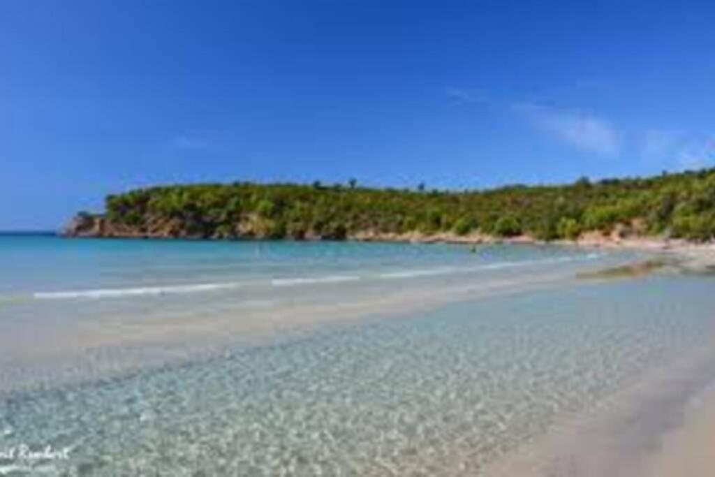 Studio Climatise Proche Port Et Plages La Londe-les-Maures Eksteriør billede